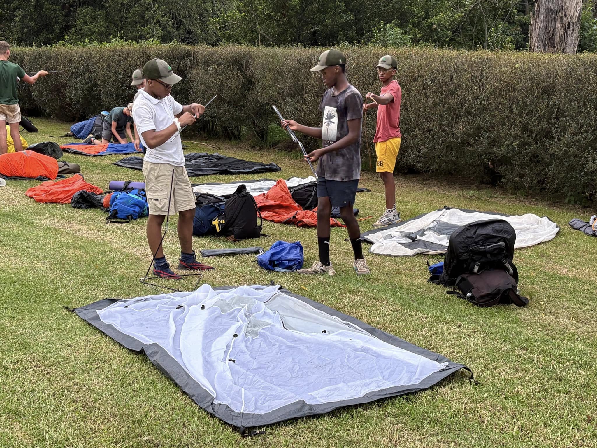 490220283_1195830685675016_4064554734800199863_n