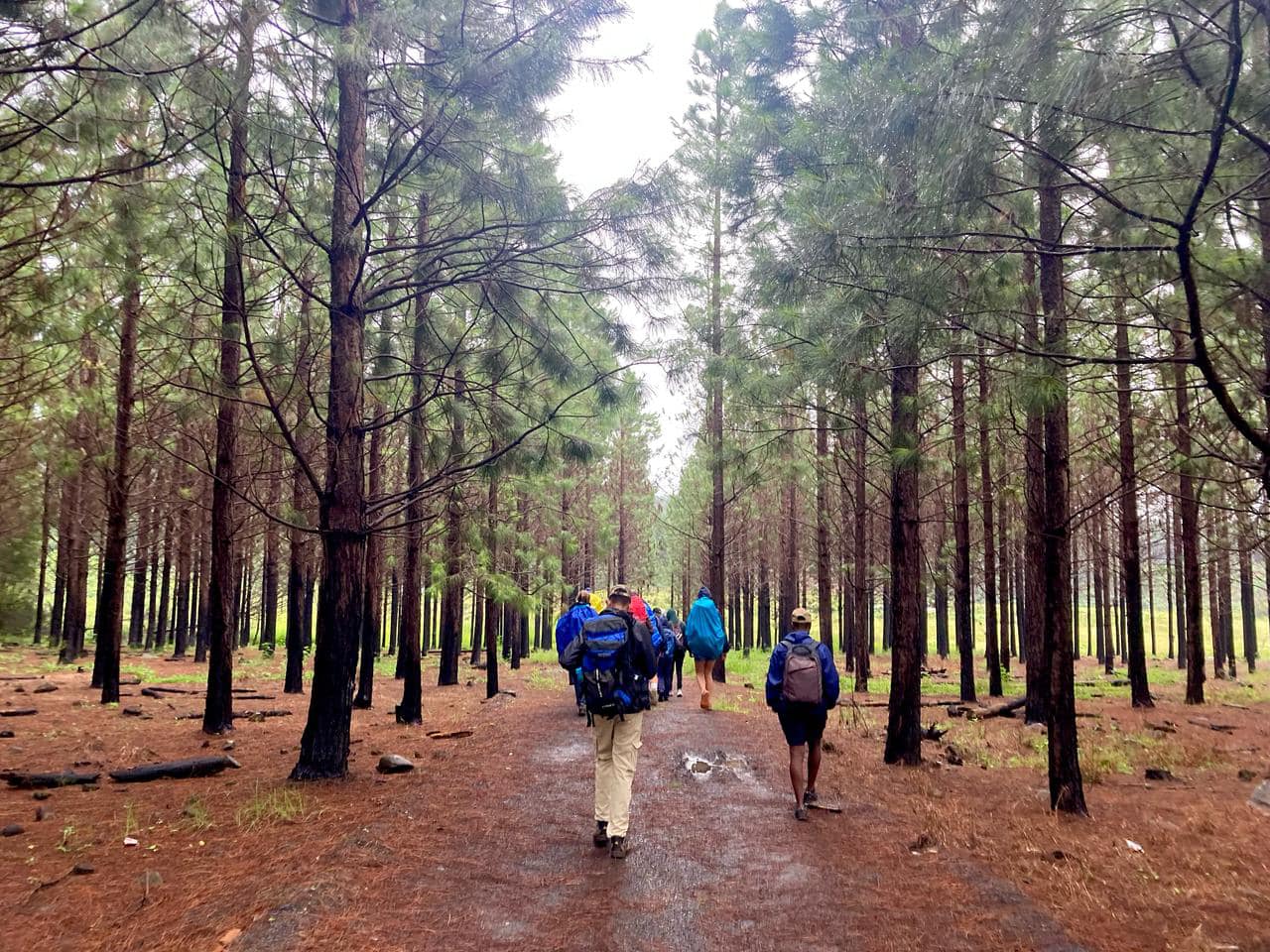 490728155_1196997615558323_881660255408130217_n