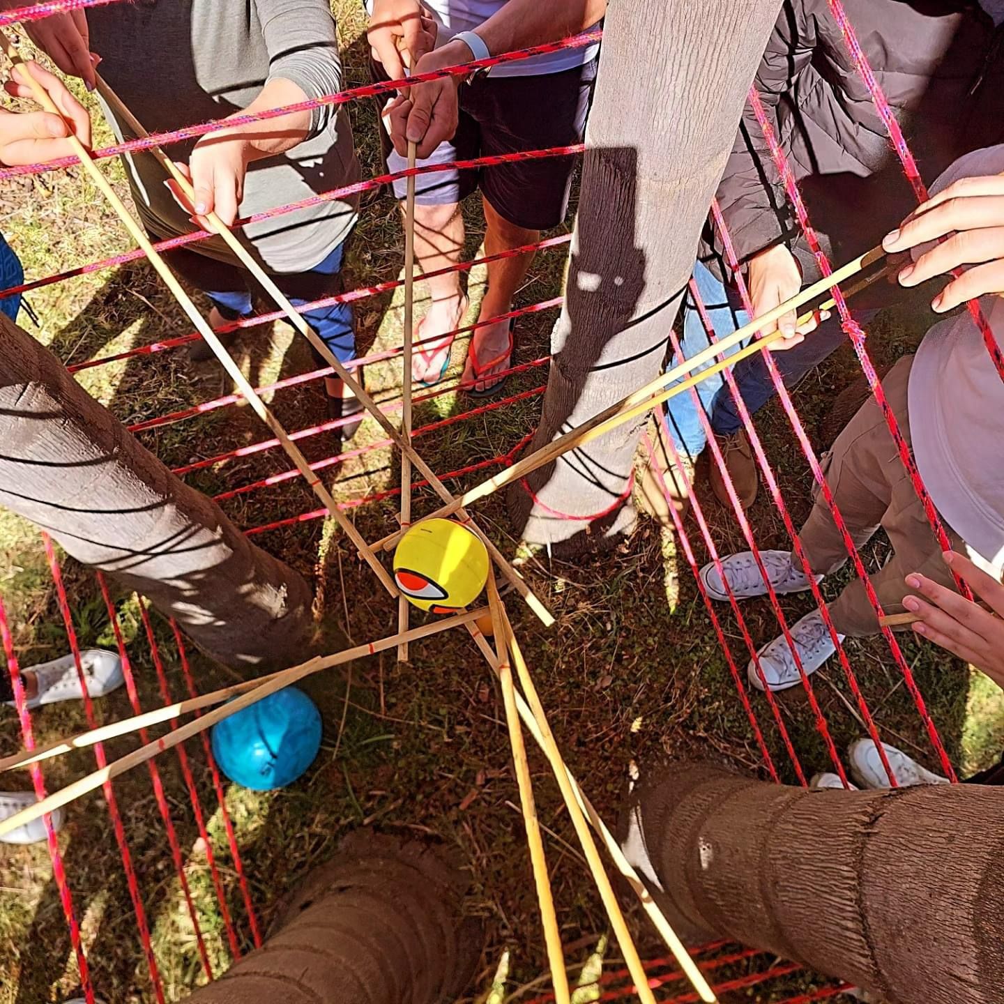 WhatsApp Image 2025-04-23 at 15.11.56_7bdb52e4